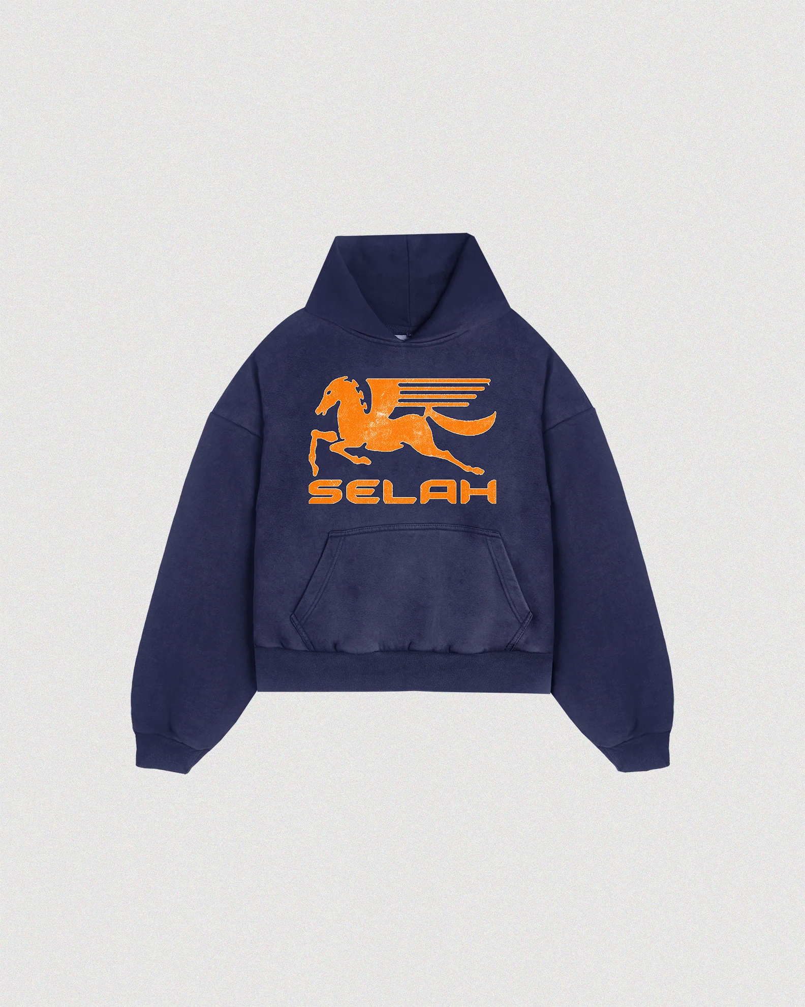 PEGASUS_c8eba0f8-3006-4a70-b016-e6dfb6415965 Pegasus Sun Faded Hoodie